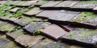Llanfechell roof repair costs